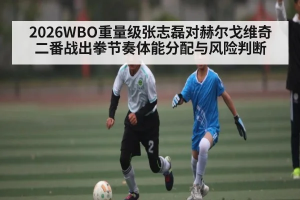2026WBO重量级张志磊对赫尔戈维奇二番战出拳节奏体能分配与风险判断